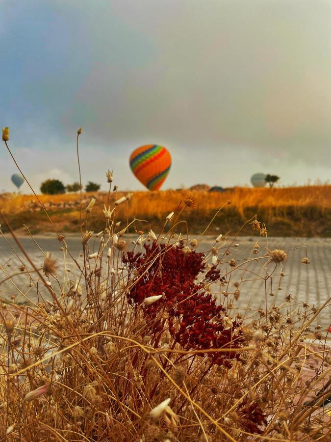 Soleado Cappadocia Hotel Üçhisar Eksteriør bilde